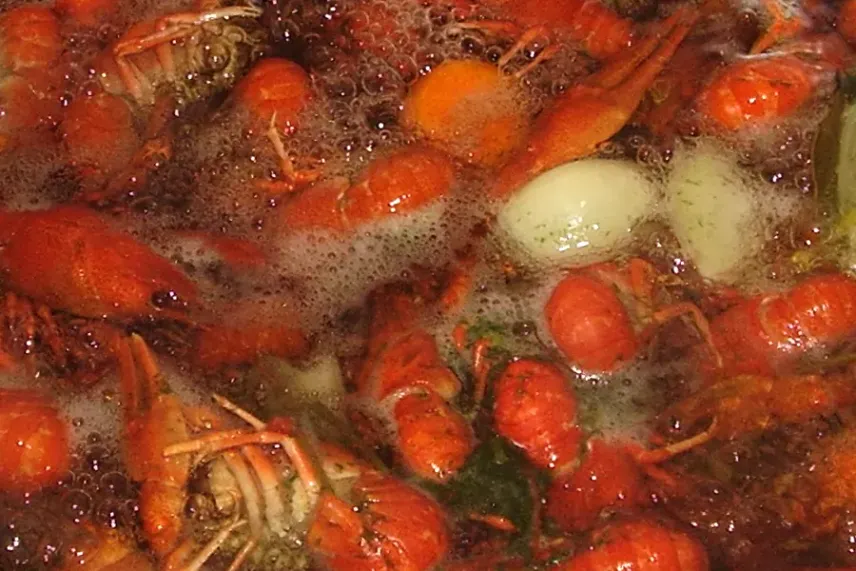 Раки в пиве