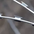 Егоза
